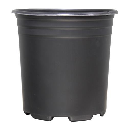 Thermoformed Nursery Pot 1 Gallon