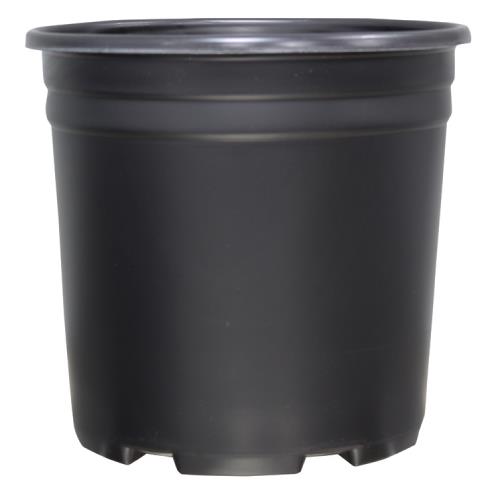 Thermoformed Nursery Pot 2 Gallon