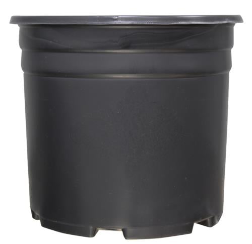 Thermoformed Nursery Pot 3 Gallon