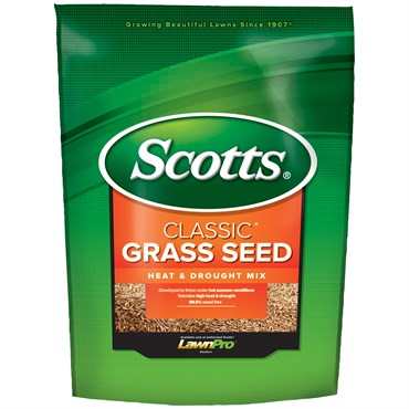 Scotts 7