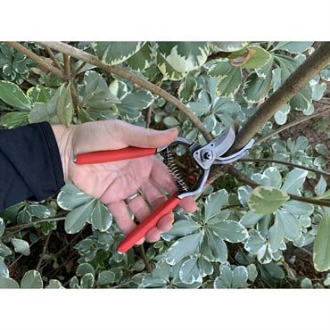 Corona 1" ClassicCUT Hand Pruner
