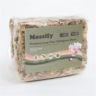 Mossify 50g Sphagnum Moss