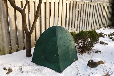 NuVue 36"x36"x38" Winter Shrub Cover