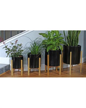 Mid 12"x13" Modern Stand