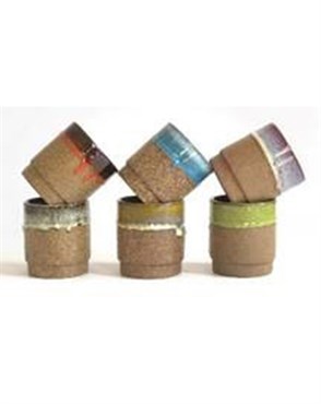 PHG Floret Succulent Cup Mixed Drift Glaze Set of 12