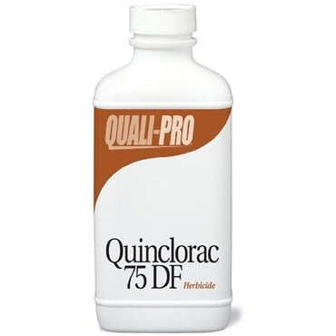 QP Quinclorac 75DF 1lb (6/CS) ( Quinclorac )