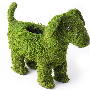 SuperMoss Puppy Planter