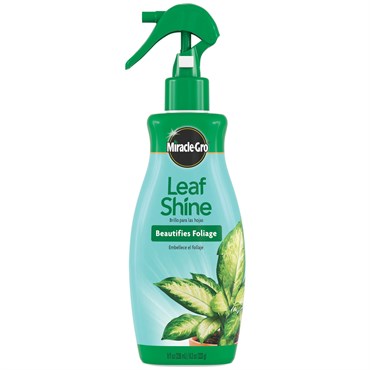Miracle Gro 8oz Leaf Shine