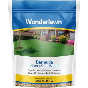 Wonderlawn 10