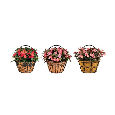 Deer Park Black Basket Variety Pk 2 Floral Daisy Ribbon Arch