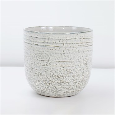 PHG 4.5"x4.5" Pebble Beach Planter White Daisy 8/CS