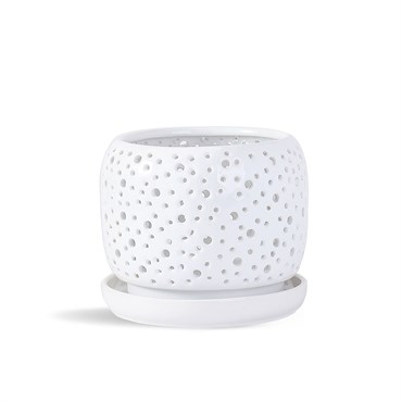 PHG Rain Drop Orchid Planter Bright White