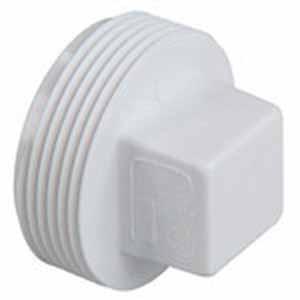 Dwv-Pvc Male Plug 2"
