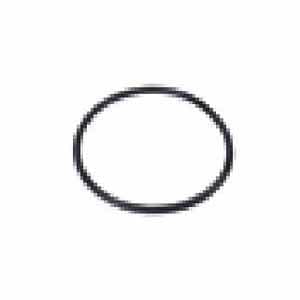 O-Ring, 3/4 - 1" For 1-1/2" and 2" Plastic Spin Clean Filters