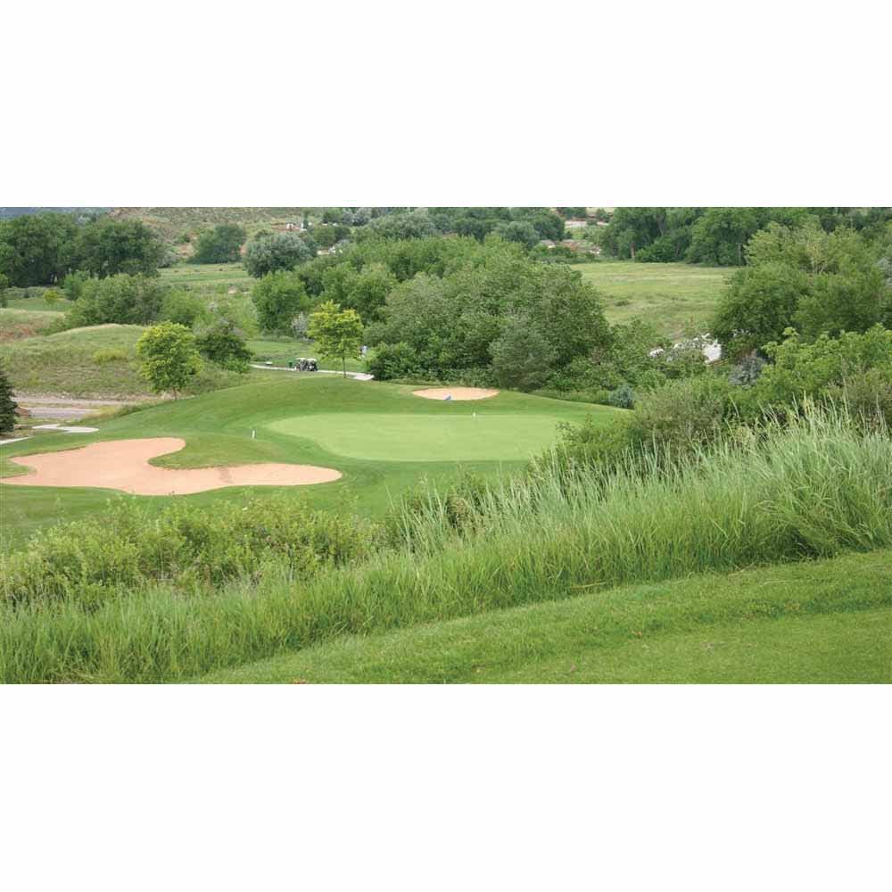 50 lb Bag Low Grow Mix Grass Seed