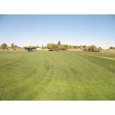 25 lb Bag Supreme Lawn Mix Grass Seed