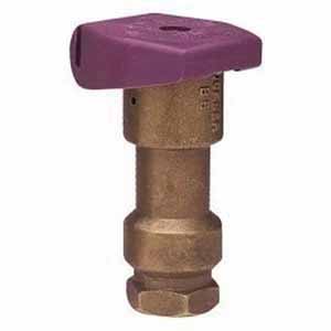 Quick Coupling Valve, 1"FNPT Red Brass 150 psi QCV Series 1-Piece