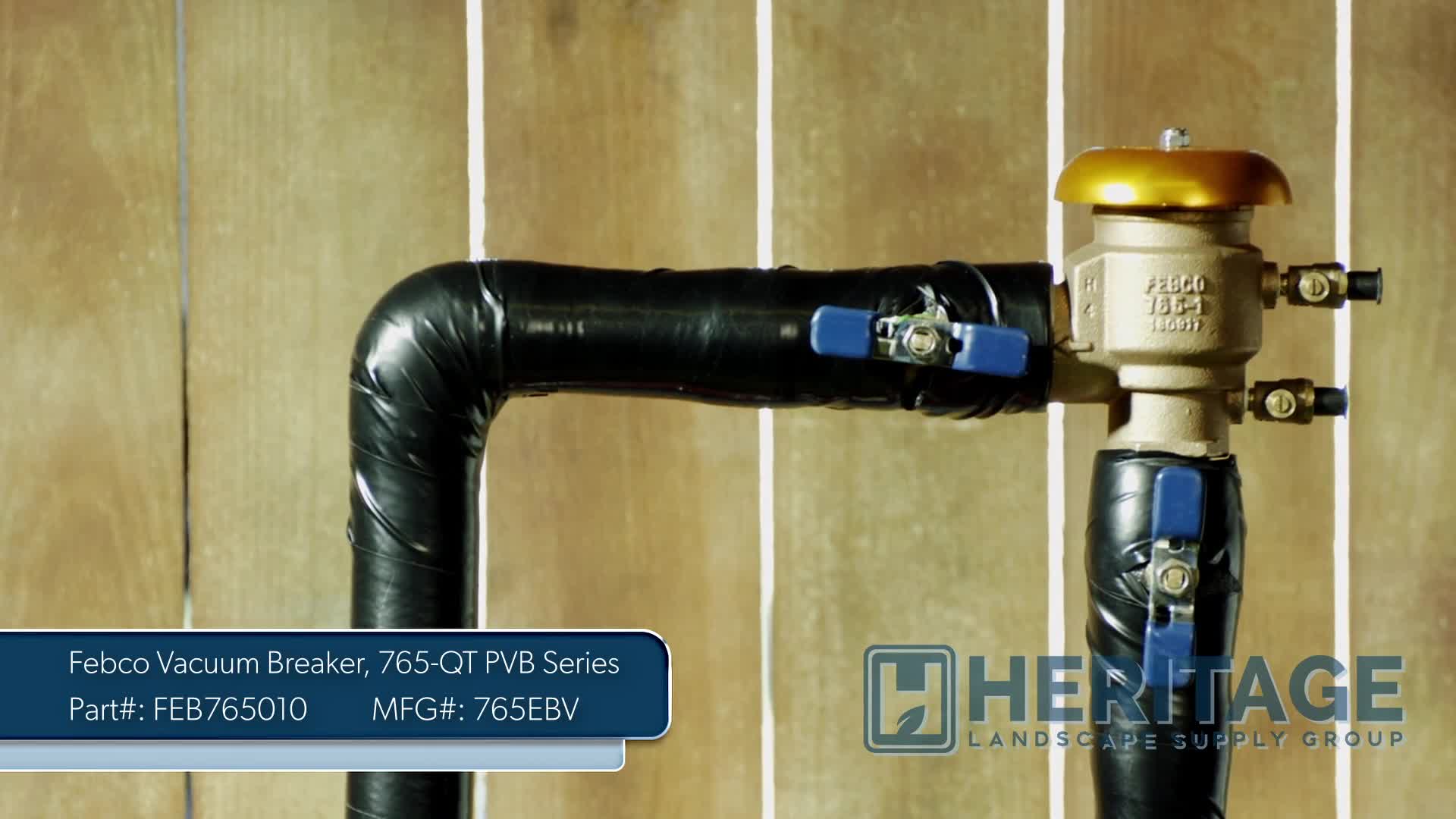 Febco 765 PVB Backflow Preventer 1" FPT
