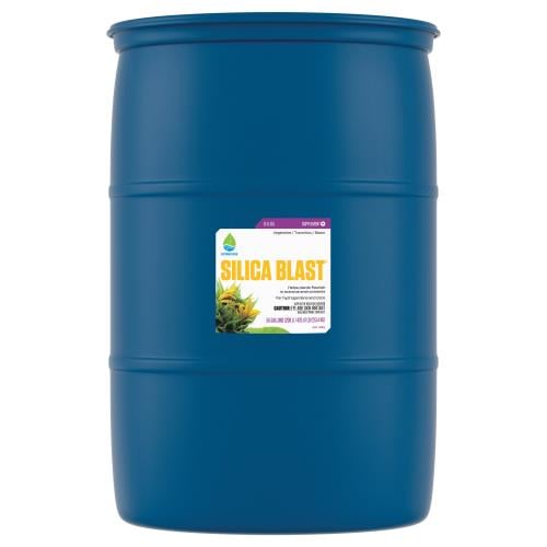 PURE BLEND TEA 55GAL/1
