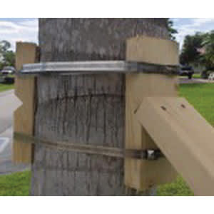 Carbon Steel with Stainless Steel Belt For Palm Tree Brace Palm Brace Kit | ARBAPBKHC