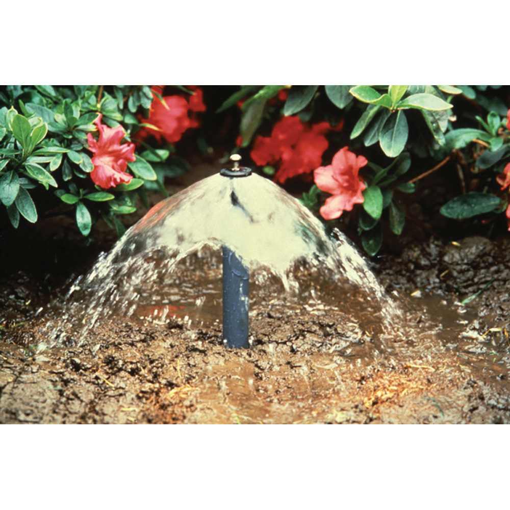 Rain Bird Adjustable Flood Bubbler 1 - 2.3 Gpm | A16001