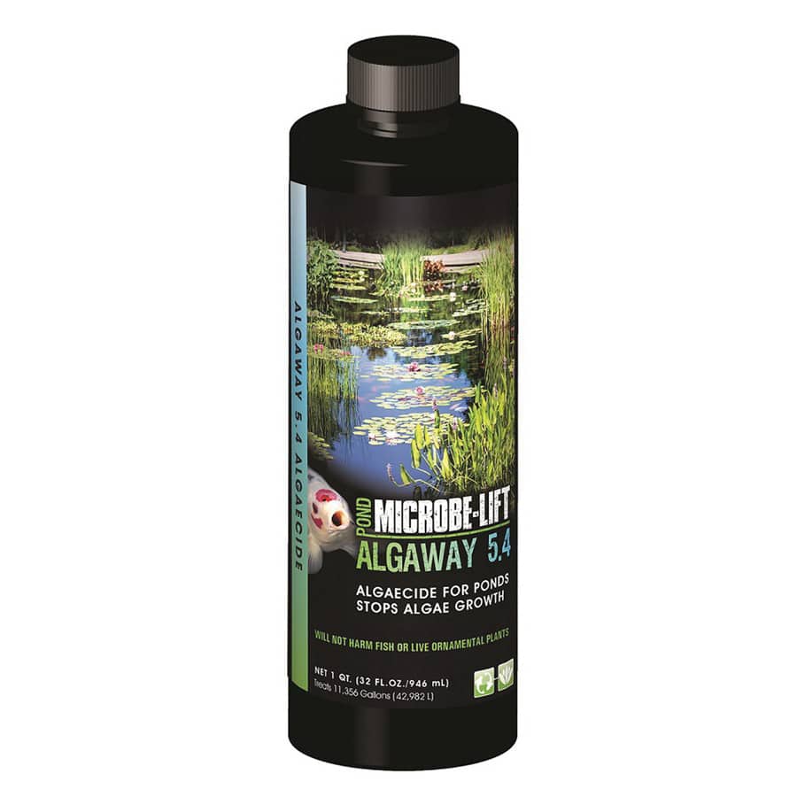 32 oz Pale Yellow Liquid Mild Inoffensive Odor Algaecide | MICALGA32
