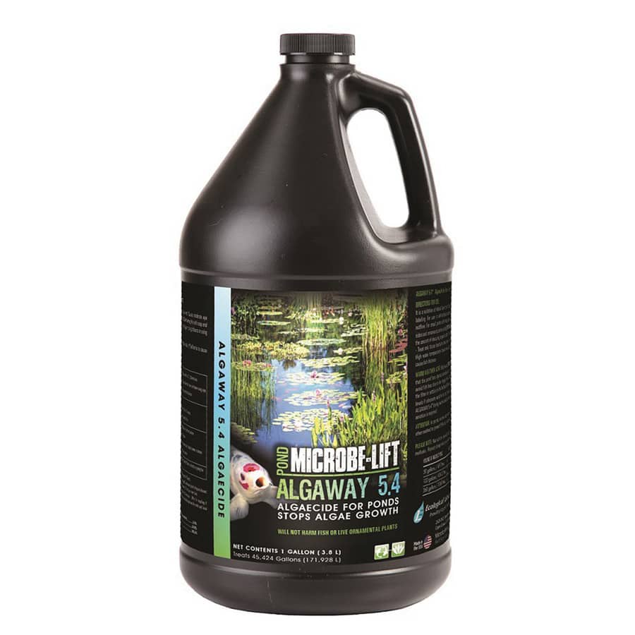 1 gal Pale Yellow Liquid Mild Inoffensive Odor Algaecide | MICALGAG
