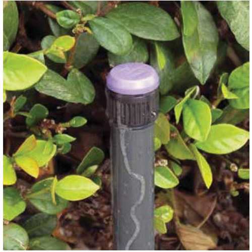 1/2" FIPT 2 gph Plastic Silicone Diaphragm Pressure Compensating Effluent Drip Bubbler | TOLLF20PCE
