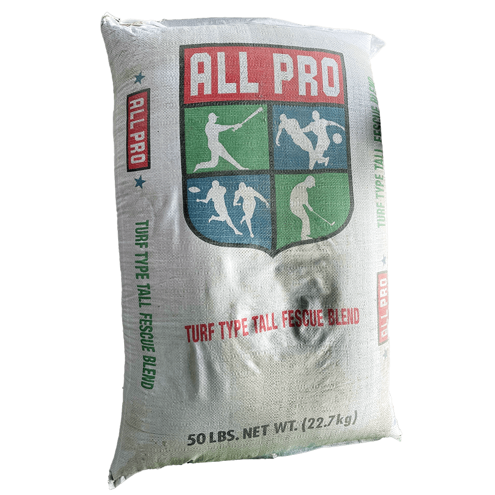 Tri-Fescue Blend