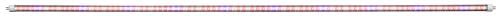 AgroLED iSunlight 41 Watt T5 4 ft Bloom LED Lamp (25/Cs)