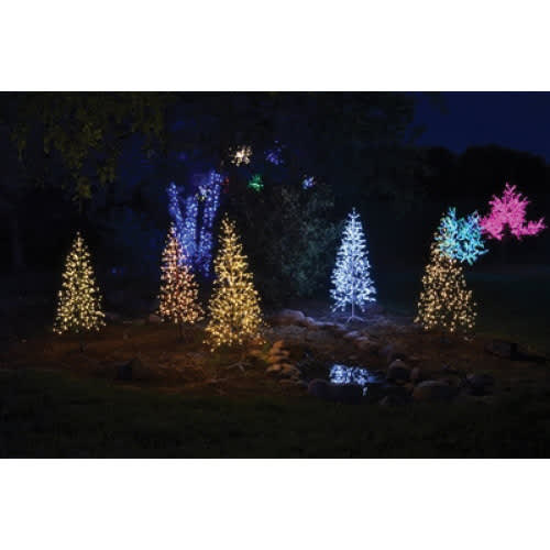 5.5' Champagne Strobe LED Birch Tree | HBLBRCHT55WPC