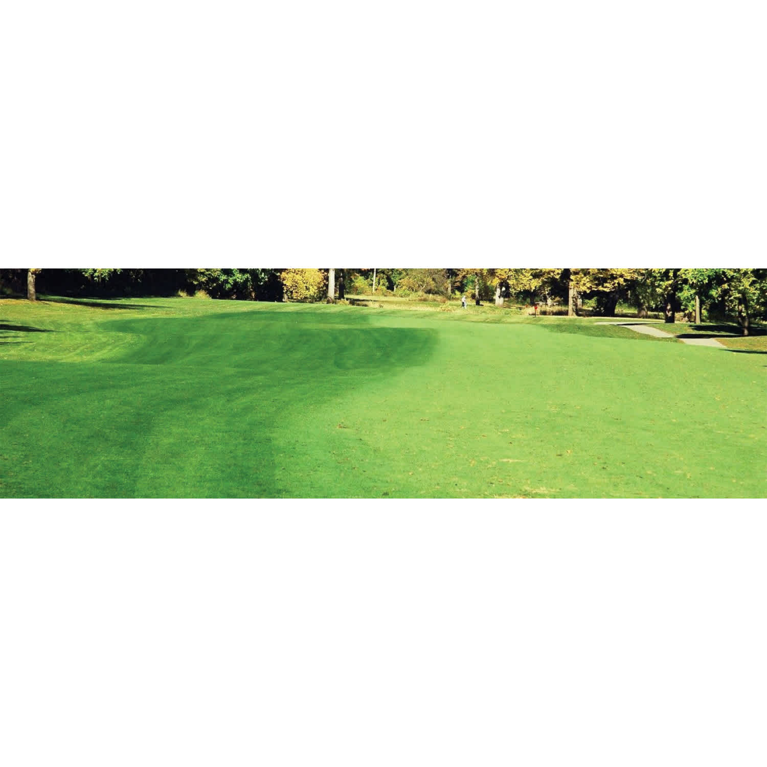 2.5 Gallon Liquid Natural Green 8000 to 12000 sq-ft Coverage Lawn Paint | GREENLAWNGER025G