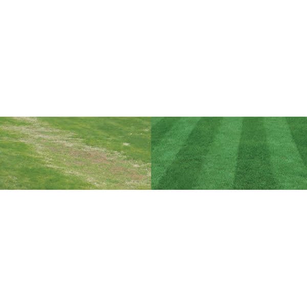 50 lb Granular 0-0-7 N-P-K Premium Insecticide | SPV2237600