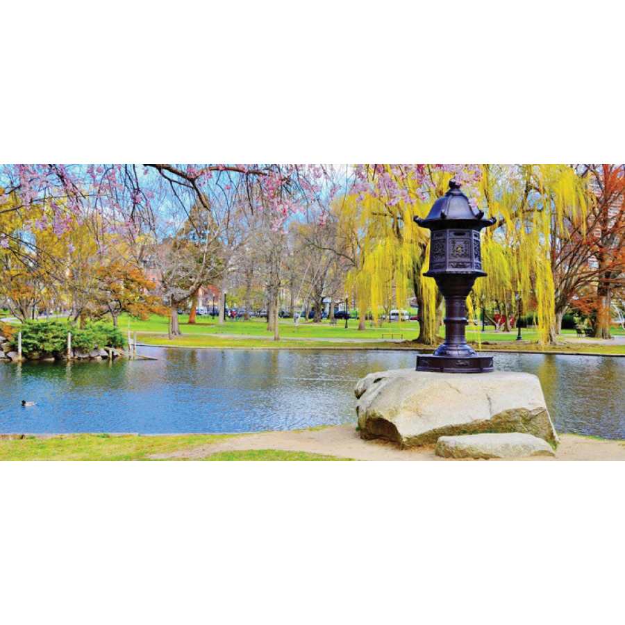 32 oz Powder Black 1 Acre Coverage Pond Dye | SSCAQUABLACKWSB