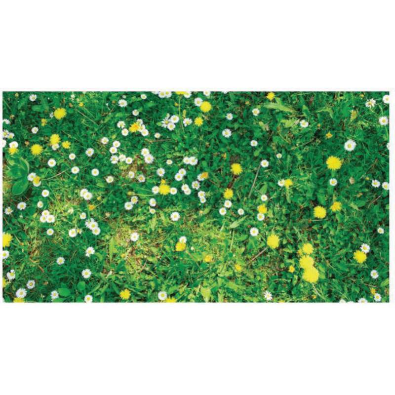 1 gal Triad SFZ Select Herbicide