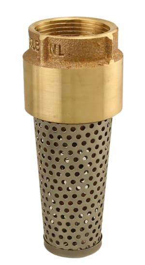 Boshart Industries Foot Valve 2" Nominal, FNPT End Style | 17YBFV200NL