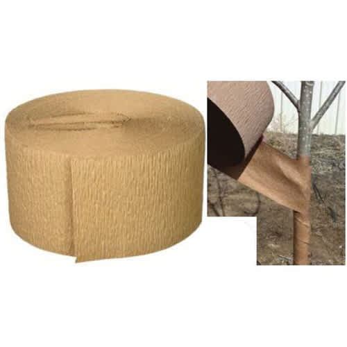 150' x 4" x 0.024 to 0.03" Wood Pulp Brown/Wax Coated Paper Tree Wrap | TREWRAPBP4150