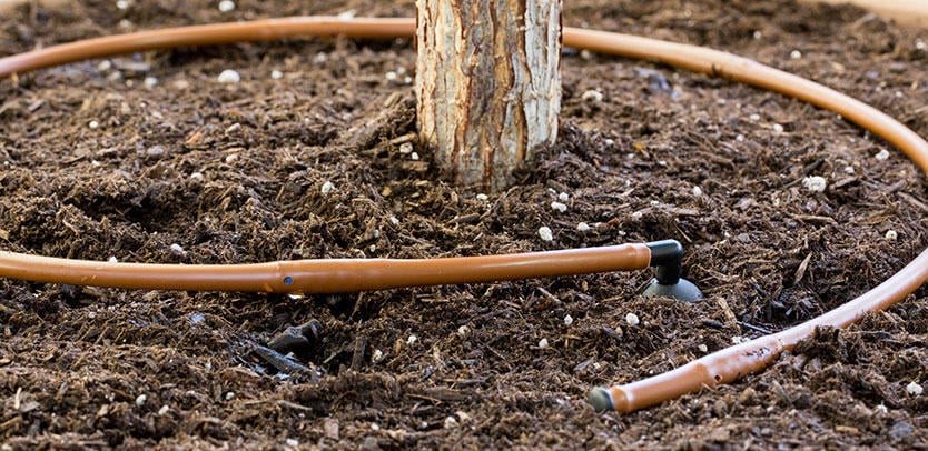 Hunter MLD Drip Irrigation Line 1/4" x 100' 0.5 gph 6" Space Black | MLD0506100BL