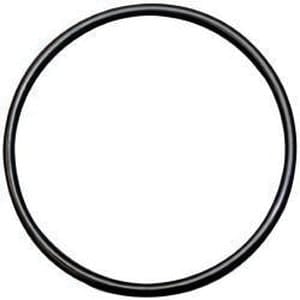 2" For LGV-200 Valves Valve Cover O-Ring | LEMLVO200
