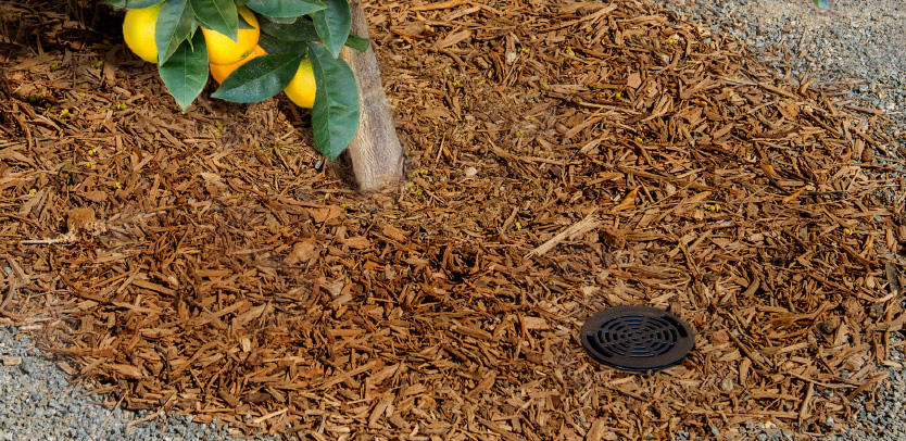 1.9 Lpm RZWS Series Root Zone Watering System | HTRRZWS1850R