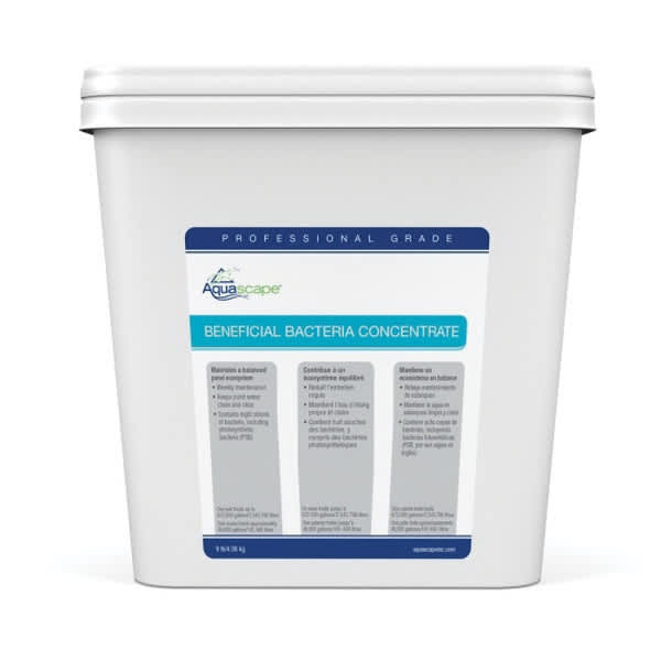9 lb Gray Powder Slight Straw Odor Professional Beneficial Bacteria Concentrate | AQS30407