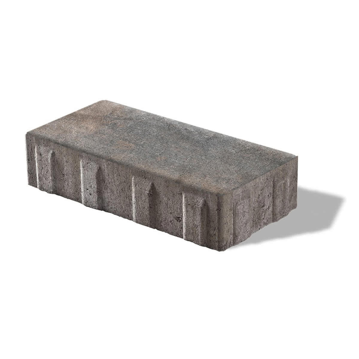 2-3/8" Fossil 3-Piece Treo Premier Random Bundle Paver | UNPTREORANFOS