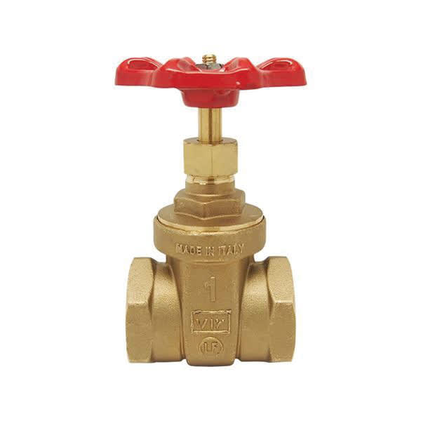 2" FNPT Brass 200 psi 206F Series Gate Valve | RWVGV020F
