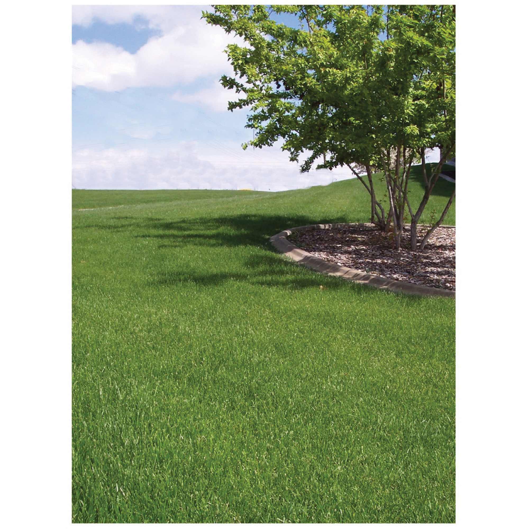50 lb Bag 3-Way Blend Grass Seed 8 to 12 lb/1000 sq-ft Coverage