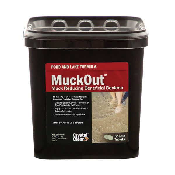 Airmax CrystalClear MuckOut, Muck Reducing Beneficial Bacteria, Off-White 6 lb | CCRCC2006
