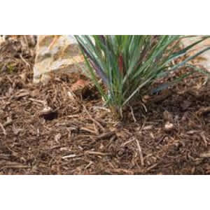 1/2" FPT 7 gpm Brown Irrigation Hose Riser | HTRIHRISER06