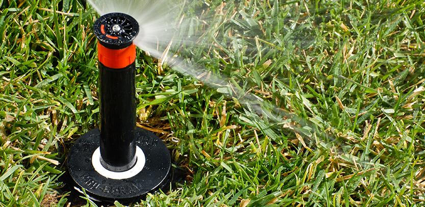 8-3/4" 1/2" NPT 15 - 100 psi PROS-06/Shrub Non-Potable with Check Valve For PRO Adjustable Nozzles Pop Up Spray Body | HTRPROS06CVR