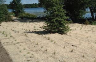 CURLEX NET FREE EROSION CONTROL BLANKET | EROCURLEXNF8X90