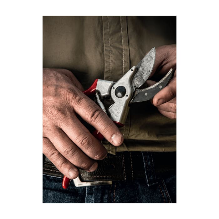 Pruner, Hardened Steel | F-2