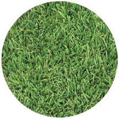 SOD 90/10 Tall Fescue | DB/TALL.FESCUE